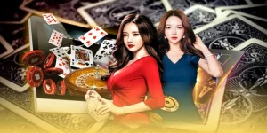 6686 – Trang cá cược hàng đầu với hơn 1000 trận đấu mỗi ngày
